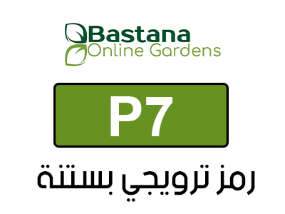 مز ترويجي Bastana